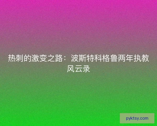热刺的激变之路:波斯特科格鲁两年执教风云录 热刺的激变之路:波斯特科格鲁两年执教风云录