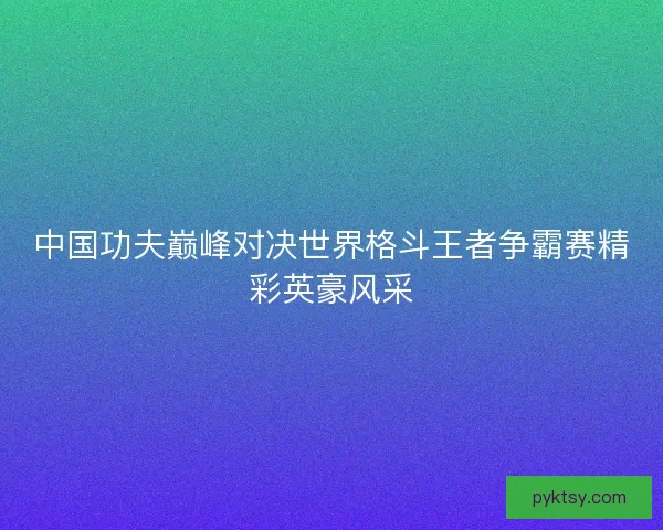 中国功夫巅峰对决世界格斗王者争霸赛精彩英豪风采 中国功夫巅峰对决世界格斗王者争霸赛精彩英豪风采